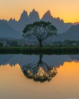 Tree standing firmly in a body of water photo