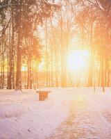 Sunset or dawn in a winter city park with trees, benches and sidewalks covered with snow and ice. Vintage film aesthetic. photo