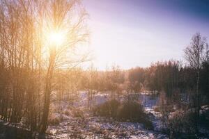 Sunrise or sunset in a winter field with trees and grass covered with frost and snow. Vintage film aesthetic. photo