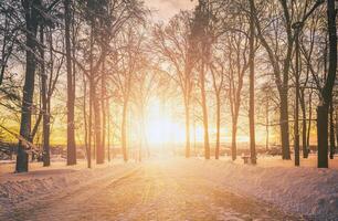 Sunset or dawn in a winter city park with trees, benches and sidewalks covered with snow and ice. Vintage film aesthetic. photo