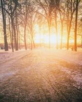 Sunset or dawn in a winter city park with trees, benches and sidewalks covered with snow and ice. Vintage film aesthetic. photo