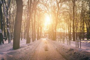 Sunset or dawn in a winter city park with trees, benches and sidewalks covered with snow and ice. Vintage film aesthetic. photo