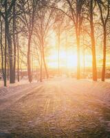 Sunset or dawn in a winter city park with trees, benches and sidewalks covered with snow and ice. Vintage film aesthetic. photo