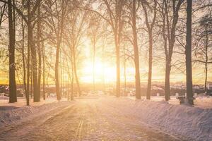 Sunset or dawn in a winter city park with trees, benches and sidewalks covered with snow and ice. Vintage film aesthetic. photo