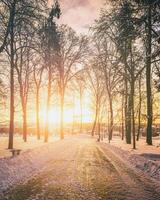 Sunset or dawn in a winter city park with trees, benches and sidewalks covered with snow and ice. Vintage film aesthetic. photo