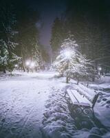 invierno noche parque con árboles, brillante linternas y bancos cubierto con nieve. Clásico película estético. foto