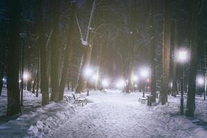 Winter night park with trees, glowing lanterns and benches covered with snow. Vintage film aesthetic. photo