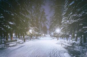 Winter night park with trees, glowing lanterns and benches covered with snow. Vintage film aesthetic. photo