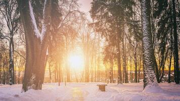 Sunset or dawn in a winter city park with trees, benches and sidewalks covered with snow and ice. Vintage film aesthetic. photo