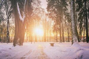 Sunset or dawn in a winter city park with trees, benches and sidewalks covered with snow and ice. Vintage film aesthetic. photo