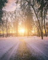 Sunset or dawn in a winter city park with trees, benches and sidewalks covered with snow and ice. Vintage film aesthetic. photo