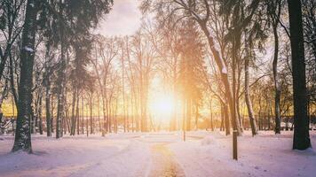 Sunset or dawn in a winter city park with trees, benches and sidewalks covered with snow and ice. Vintage film aesthetic. photo