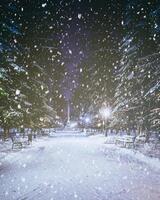 Snowfall in a winter park at night with glowing lanterns, pavement covered with snow and trees. Vintage film aesthetic. photo