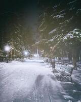 invierno noche parque con árboles, brillante linternas y bancos cubierto con nieve. Clásico película estético. foto