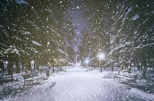 Snowfall in a winter park at night with glowing lanterns, pavement covered with snow and trees. Vintage film aesthetic. photo