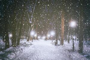 Snowfall in a winter park at night with glowing lanterns, pavement covered with snow and trees. Vintage film aesthetic. photo