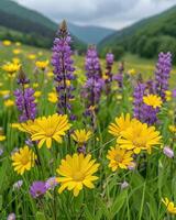campo cubierto en púrpura y amarillo flores foto