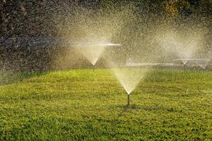 Automatic lawn watering system watering the young green lawn grass in the park. photo