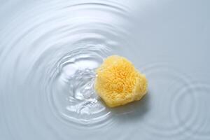 Natural sponge on a blue background with water. photo