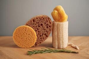 Composition of natural sponges and rosemary. photo