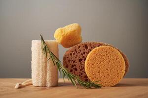 Composition of natural sponges and rosemary. photo