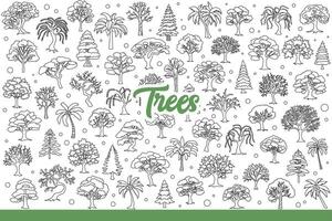 Forest trees growing in different regions, for concept of biodiversity. Hand drawn doodle. vector