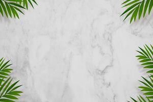 Marble background,palm leaves and shadow border frame with copy space for Summer,Holiday banner,Empty White,Grey nature granite texture or ceramic counter coconut leaf for product present photo