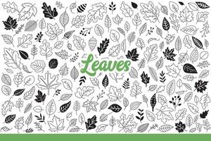 Leaves from forest trees of various types that have fallen in autumn season. Hand drawn doodle. vector