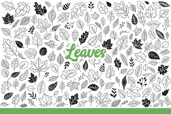 Leaves from forest trees of various types that have fallen in autumn season. Hand drawn doodle.