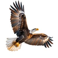 kahl Adler fliegend auf isoliert transparent Hintergrund png