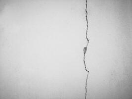 crack on cement wall photo