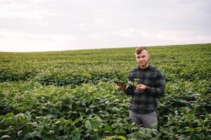 Young agronomist holds tablet touch pad computer in the soy field and examining crops before harvesting. Agribusiness concept. agricultural engineer standing in a soy field with a tablet in summer. photo