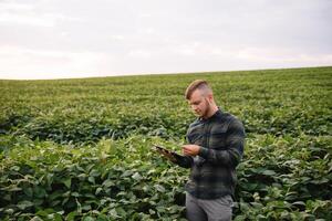 Young agronomist holds tablet touch pad computer in the soy field and examining crops before harvesting. Agribusiness concept. agricultural engineer standing in a soy field with a tablet in summer. photo