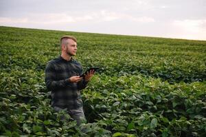 Young agronomist holds tablet touch pad computer in the soy field and examining crops before harvesting. Agribusiness concept. agricultural engineer standing in a soy field with a tablet in summer. photo