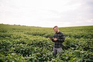 Young agronomist holds tablet touch pad computer in the soy field and examining crops before harvesting. Agribusiness concept. agricultural engineer standing in a soy field with a tablet in summer. photo