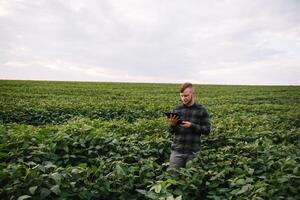 Young agronomist holds tablet touch pad computer in the soy field and examining crops before harvesting. Agribusiness concept. agricultural engineer standing in a soy field with a tablet in summer. photo