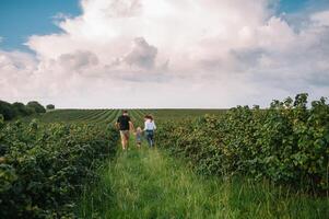 Happy family with little daughter spending time together in sunny field. photo