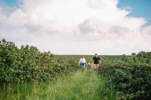 Happy family with little daughter spending time together in sunny field. photo