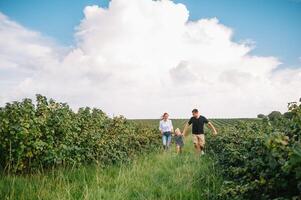 Happy family with little daughter spending time together in sunny field. photo