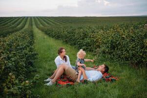 contento familia con pequeño hija gasto hora juntos en soleado campo. foto