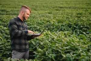 Young agronomist holds tablet touch pad computer in the soy field and examining crops before harvesting. Agribusiness concept. agricultural engineer standing in a soy field with a tablet in summer. photo