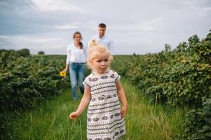 Happy family with little daughter spending time together in sunny field. photo