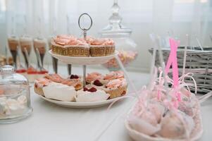 desserts with fruits, mousse, biscuits. Different types of sweet pastries, small colorful sweet cakes, macaron, and other desserts in the sweet buffet. candy bar for birthday. photo