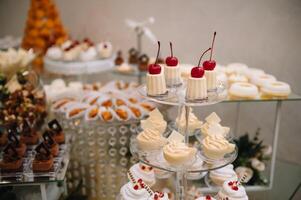 postres con frutas, mousse, galletas. diferente tipos de dulce pasteles, pequeño vistoso dulce pasteles, macarrón, y otro postres en el dulce bufé. caramelo bar para cumpleaños foto