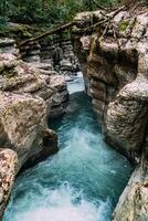 White Rock Canyon Jungle and Mountain Forest Hiking, Khosta River Along Cliffs photo