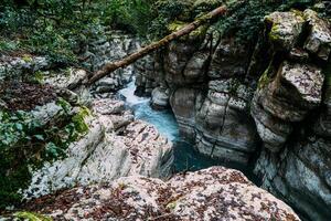 blanco rock cañón selva y montaña bosque senderismo, khosta río a lo largo acantilados foto