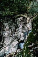 blanco rock cañón selva y montaña bosque senderismo, khosta río a lo largo acantilados foto