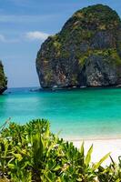 maya bahía - hermosa playa en fi fi isla - tailandia, marzo 2024 foto