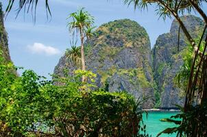 maya bahía - hermosa playa en fi fi isla - tailandia, marzo 2024 foto