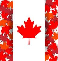 Maple Leaf background for the national day of Canada vector